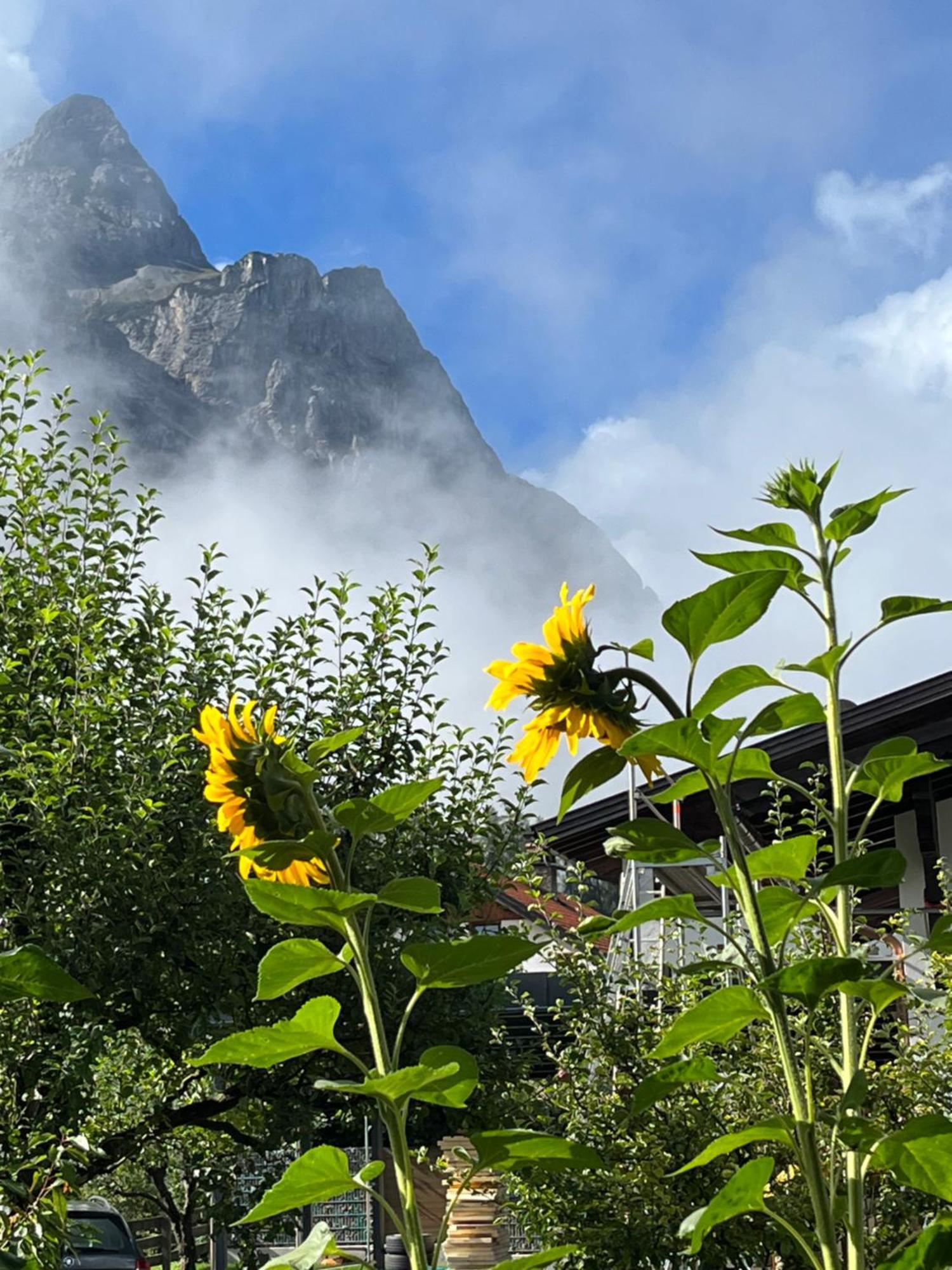 Apartmán Haus Alpenblume Ehrwald Exteriér fotografie