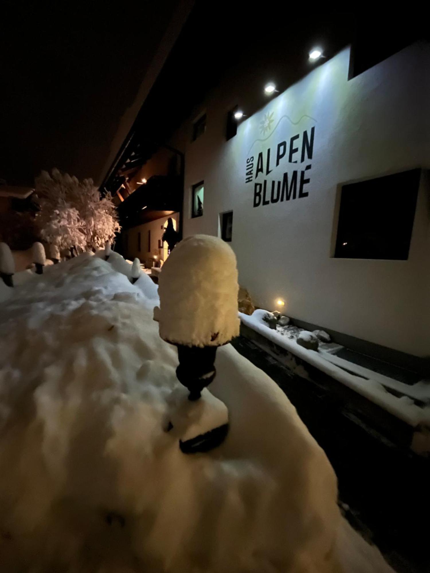 Apartmán Haus Alpenblume Ehrwald Exteriér fotografie